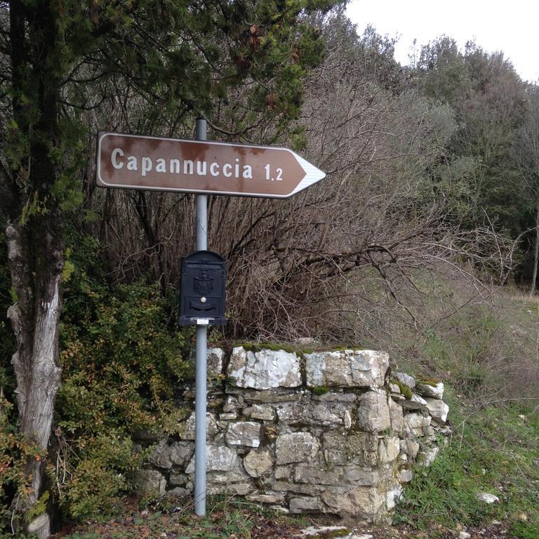 Villa Capannuccia Castellina in Chianti Buitenkant foto